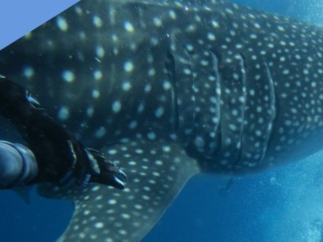 f92262bd-e870-4d01-875d-d3832b3601cc