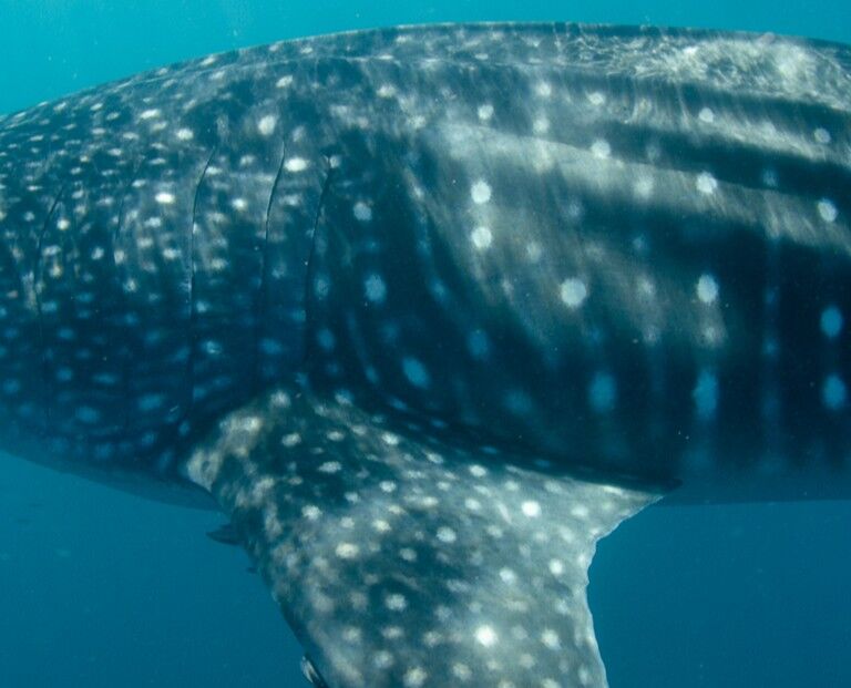 49e96910-a4ab-4844-a609-8fcbc92775f1