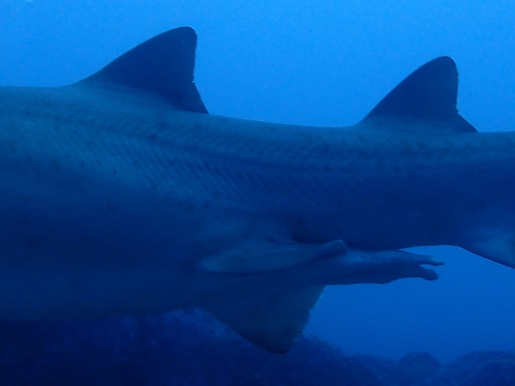 b7ab8b6d-e046-4fdd-b446-d06dbb0d66a0