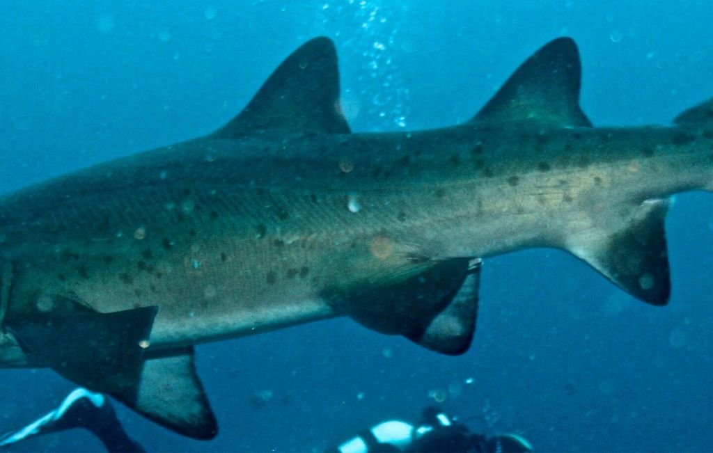 a671ddaf-b633-4973-9314-8a7f3321275d