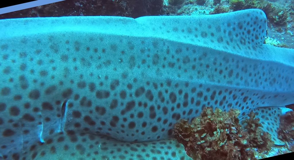 a1b97fe9-07c5-4189-8425-3d209f1a7847