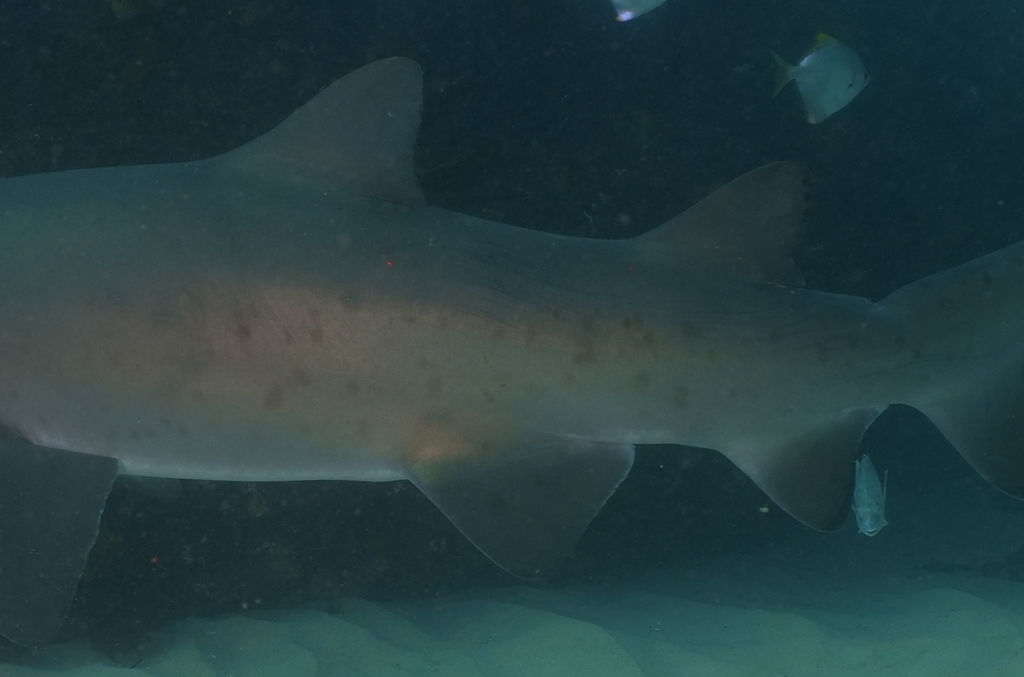 b71a51ef-e8a3-41d5-8599-1bf2353f1478