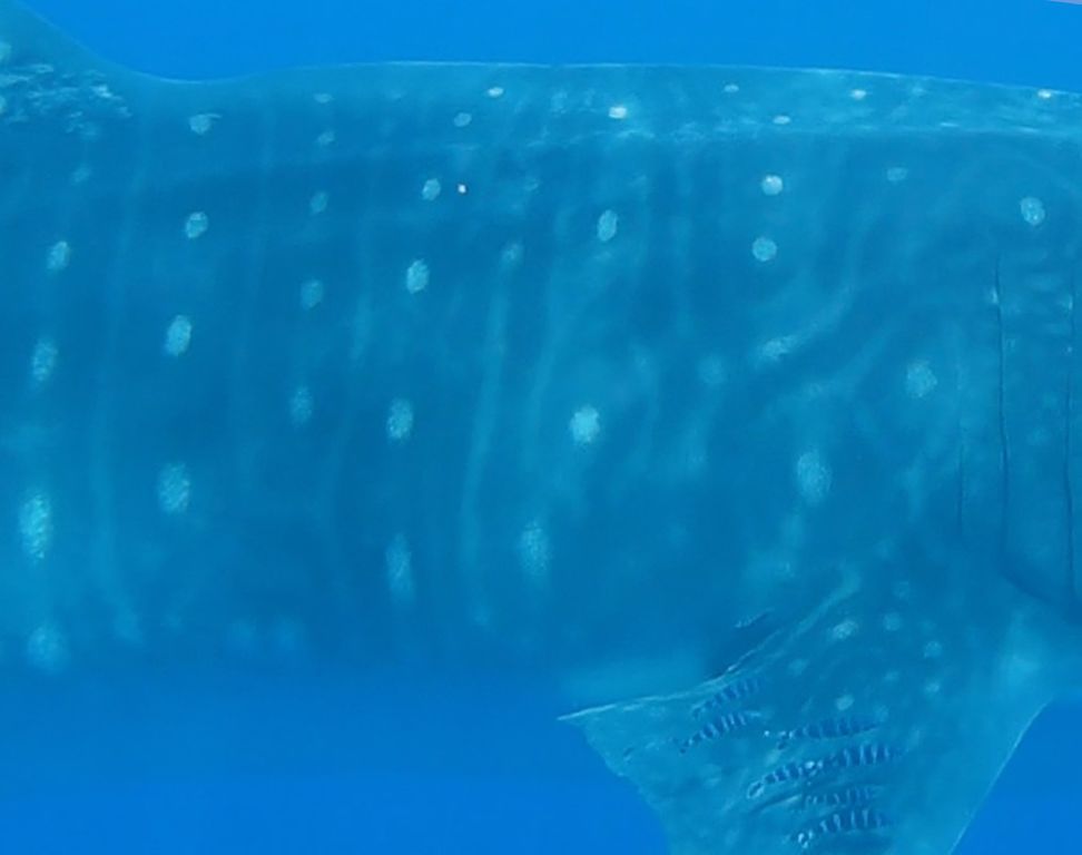 151409e0-61a9-40a0-81c2-633b8eb0b5d1