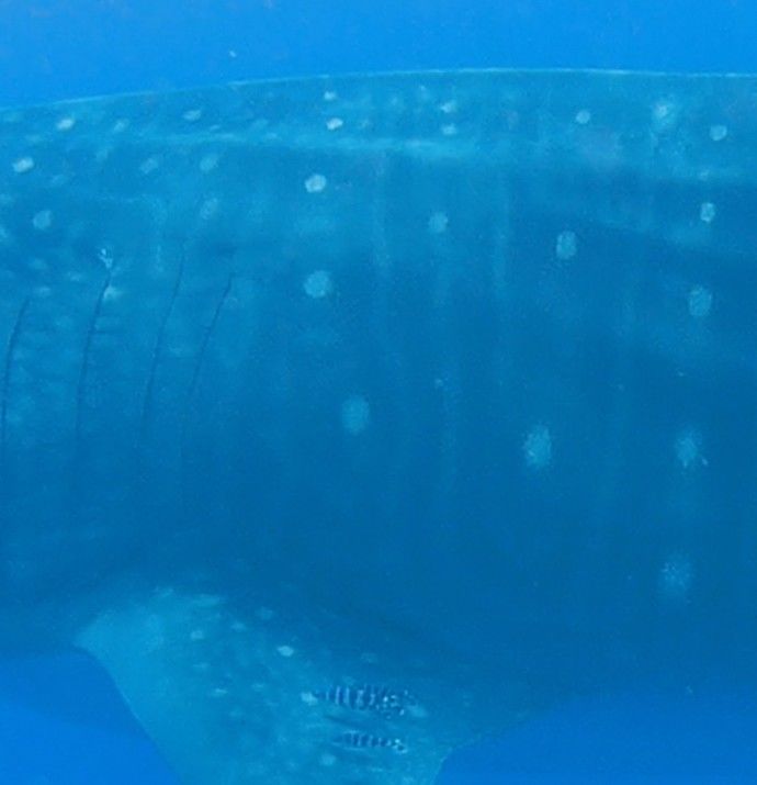 151409e0-61a9-40a0-81c2-633b8eb0b5d1