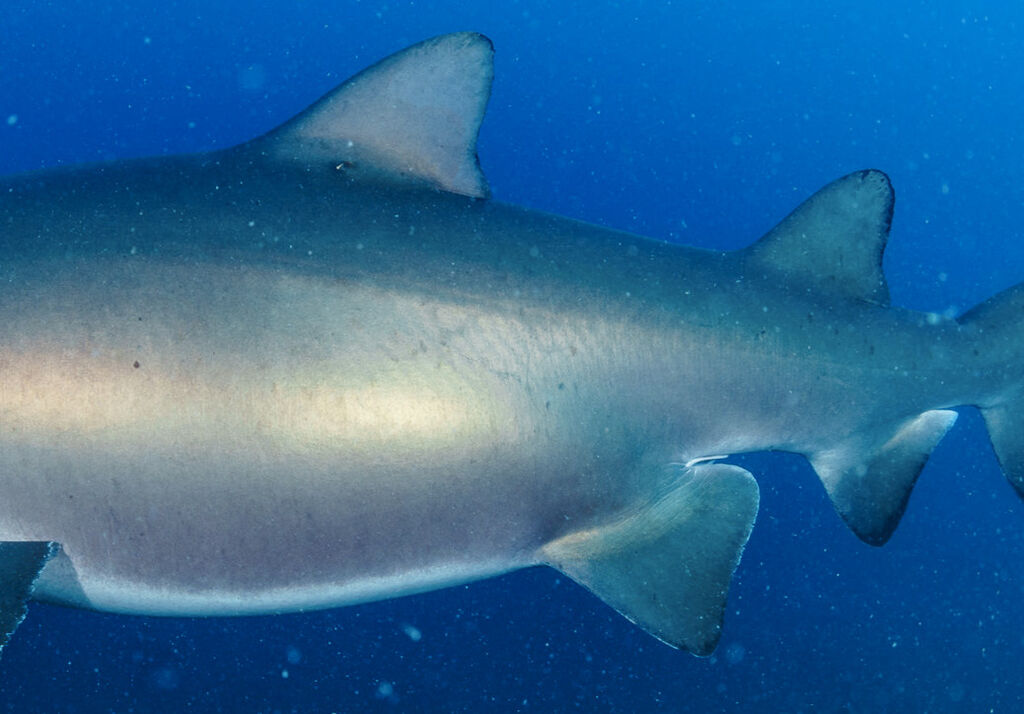 32e151c8-8be2-4cd3-b251-26c7054d09c4