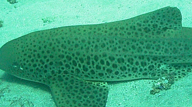 b7e14ee4-4f22-4d77-8138-28273b8a75d5