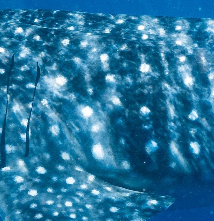 36b124b4-f7b4-48a3-92bf-b75b203ba185