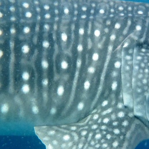 d5f69560-d194-4d56-b905-abdbf6b2c9a0