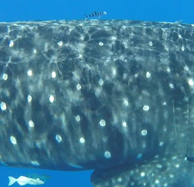 205313cb-7aee-4c4c-9713-89a1a9a86926