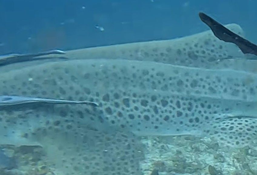 f721387a-6221-40e0-a448-70976ec5fd90