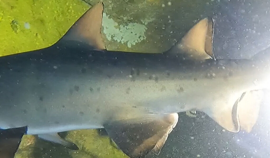 483c90d2-fbc6-4ab0-8a47-259ee04f7d83