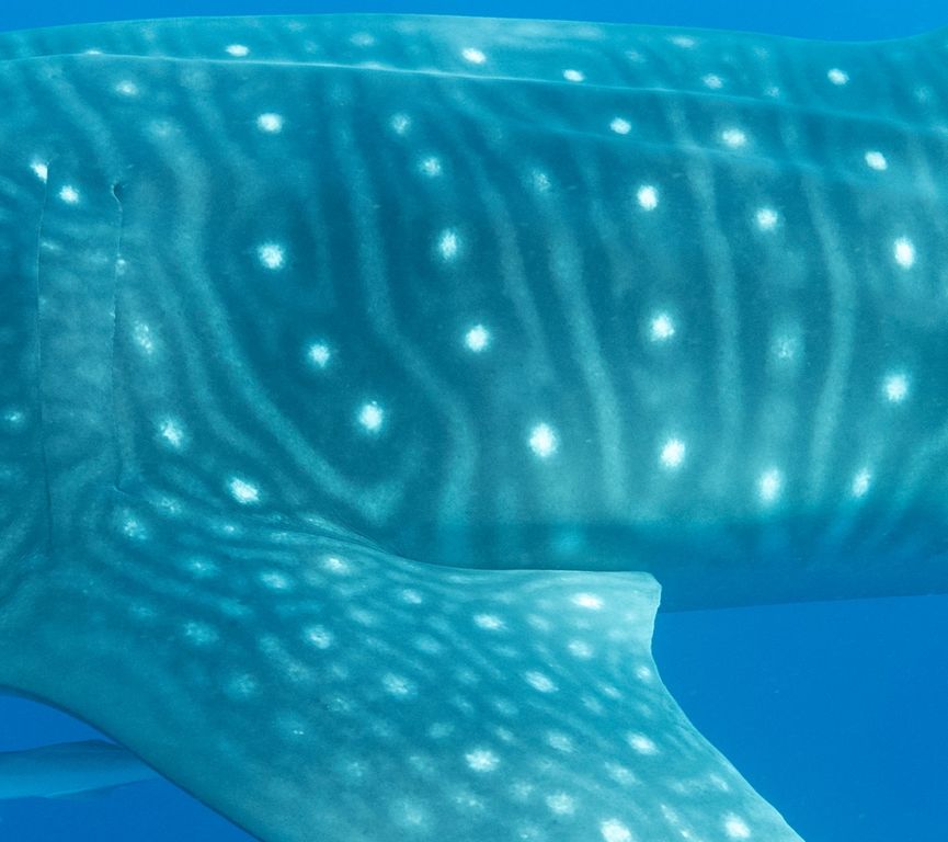 70a87e35-05e1-472e-8cb8-58643663a36d