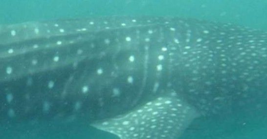 03b0cf96-88e5-4c3a-ac56-eb27343a48ea