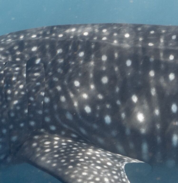 d1b71589-2e99-4f47-a1cd-7c7dc63663a9