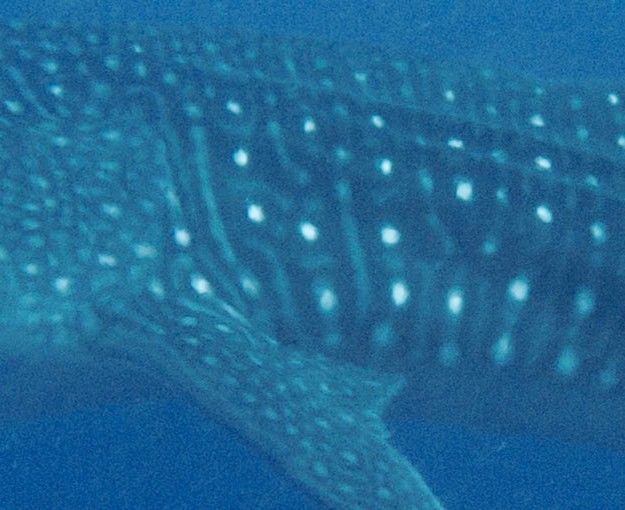 78f71cc9-4609-4632-9861-02f1a0b3f8dd