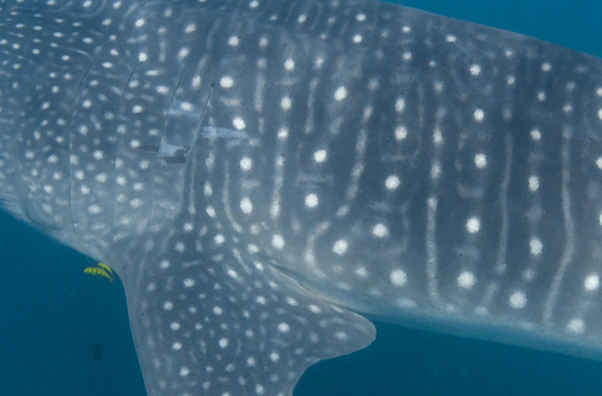 2cb04693-ef7a-4575-8b8b-8437e4658130