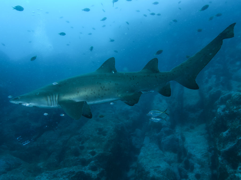 a605564a-6333-488f-a4ce-a47d7f7a4e35