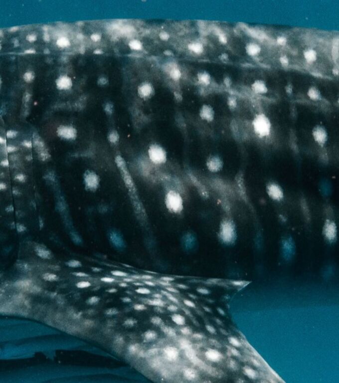 ba5e7397-d4fb-4c29-bd36-79d97bc7483d