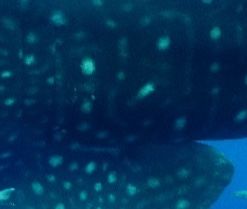 df18bf51-e14f-4d43-a1a8-602d77b06648