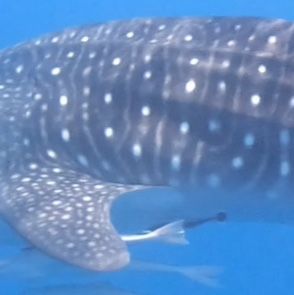 75b1228d-bf57-48e2-a94c-fa4f29f27226