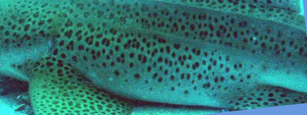 a9845080-b214-46dd-b6ab-6c2aa05b18b3