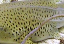 67922194-208b-4435-b452-20ca4b5aa167