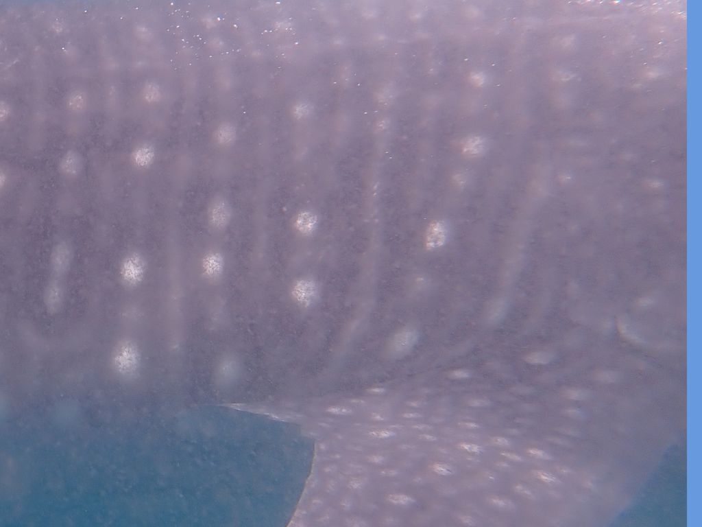 69446463-aa12-41ee-af9f-2af673e08c92