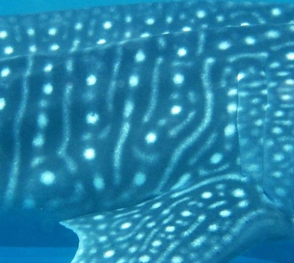 dc5d957a-5ddd-4f5b-ac4d-caa3dc9a3dee