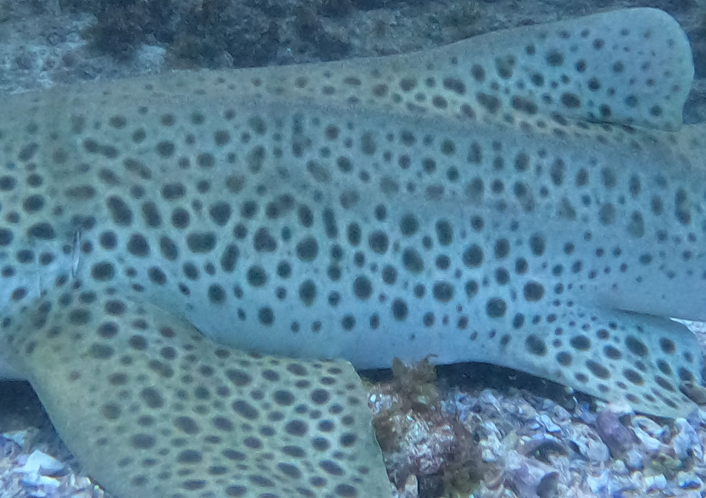 ca13dac3-babb-4a4e-9b70-5731f058892d