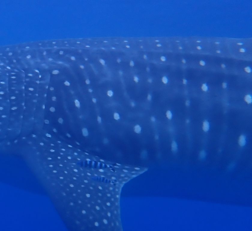 d04df93d-5e79-46de-9d2b-584cde7d175f