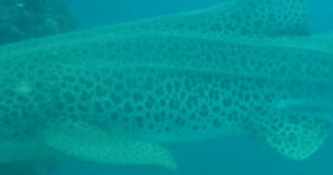 16a268de-b5ea-4dc1-96e8-4247635d0380