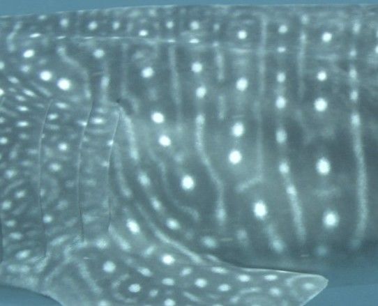 5fb0c540-abf3-479c-812f-b5a71fbca4c6