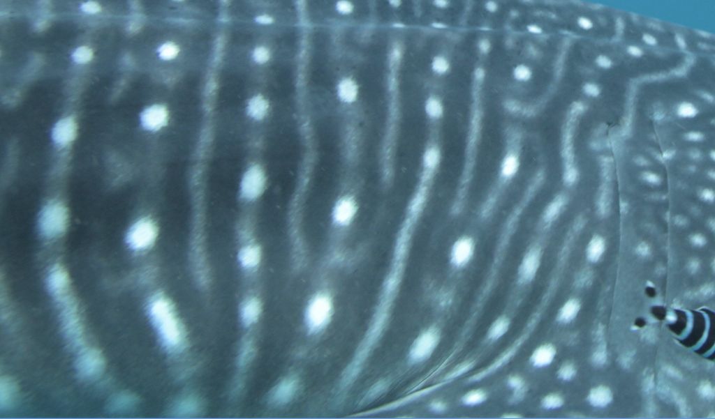 5fb0c540-abf3-479c-812f-b5a71fbca4c6