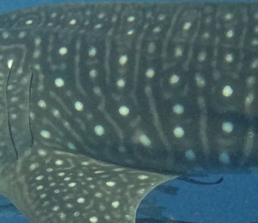 291b9b57-5d62-4eb0-bd1e-23edcf22b587