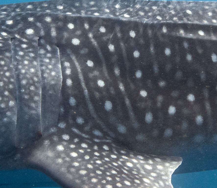 a23ab8d1-c280-4a5e-9120-3e067595799b