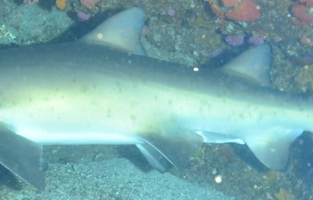 0fc97ede-5f0b-4abc-b32b-7f7374948fa5