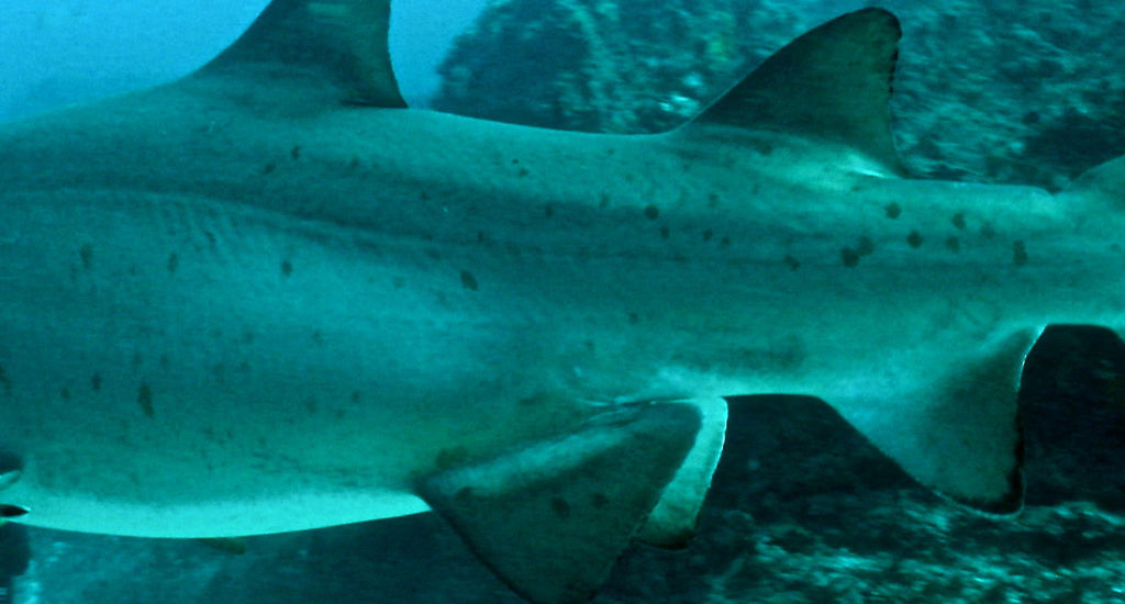 f5fb84c8-96d6-44ae-a9ac-4d3e25985bd4