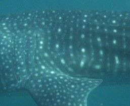 b3255545-65a2-4610-bef0-3db8f0e1b2e4