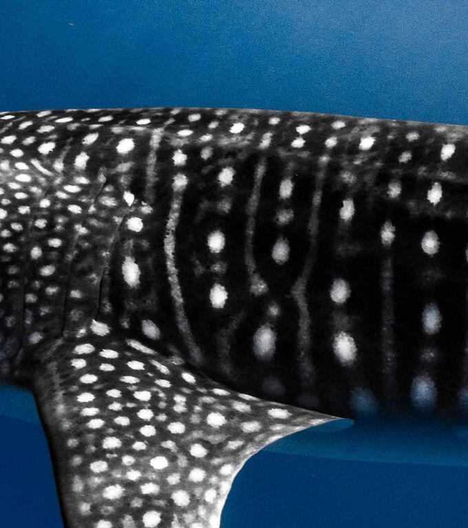 f07cad4f-3f39-4e03-a535-0749b70c2fec