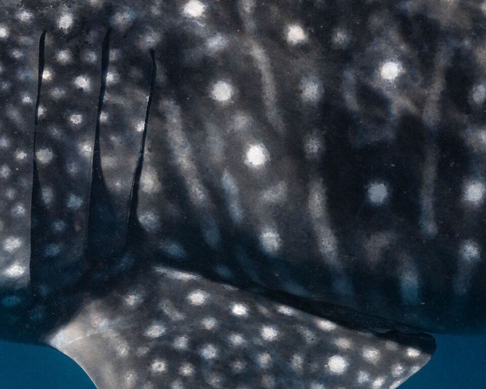 0aad58bf-edc3-42ce-800a-8dc92eb12242