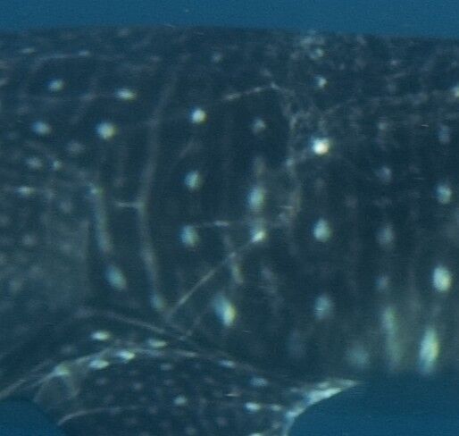 799de91a-cc2b-49bb-ac21-26a27594dccc