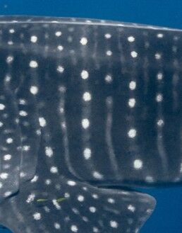 0e79fdc0-a790-48fb-984d-3405b0b74998