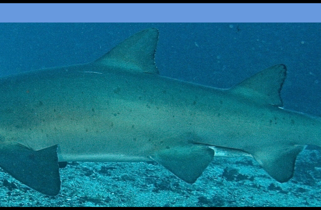 f053d305-45b7-4e2f-8977-b9706c884066