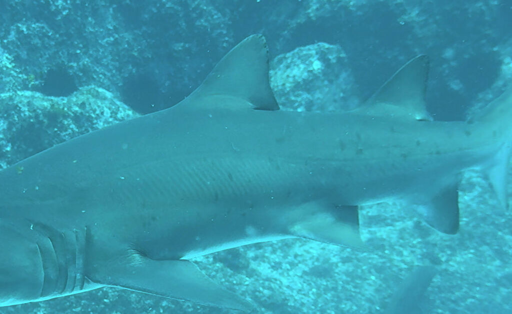 e333e76e-ec6e-4d28-9ebf-3d630e917fa2