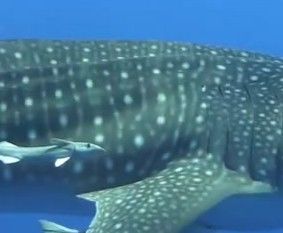 740c8be9-8d3b-4157-8a6d-25a9e418d741