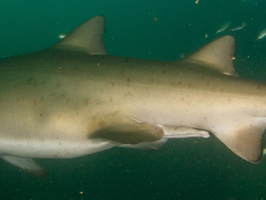 0847b9b2-1328-4a54-bf5f-a5c4ecbedc66