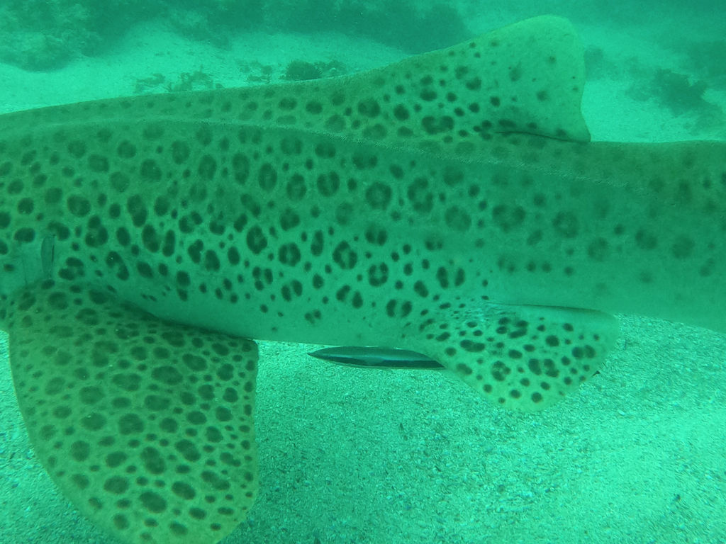 ebc464dd-aab1-417f-a270-5ac76ca1d8ff