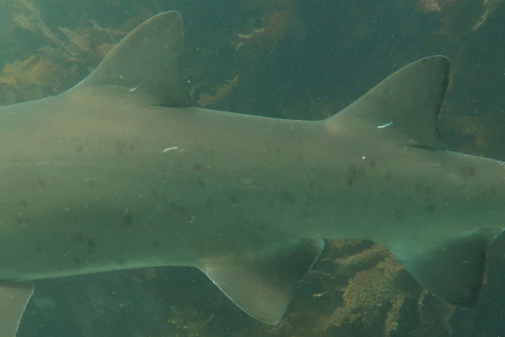 8443fb4b-92df-4af5-8553-412cc01dad7e