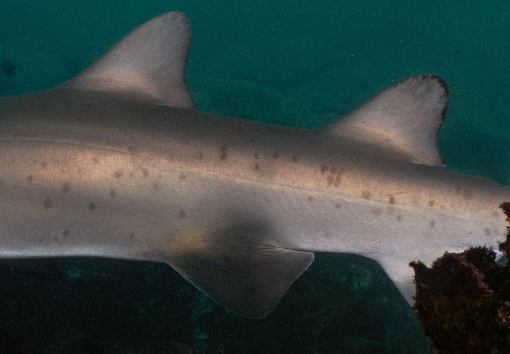 f4f5cc9a-be92-4805-838b-5491f55afc7c