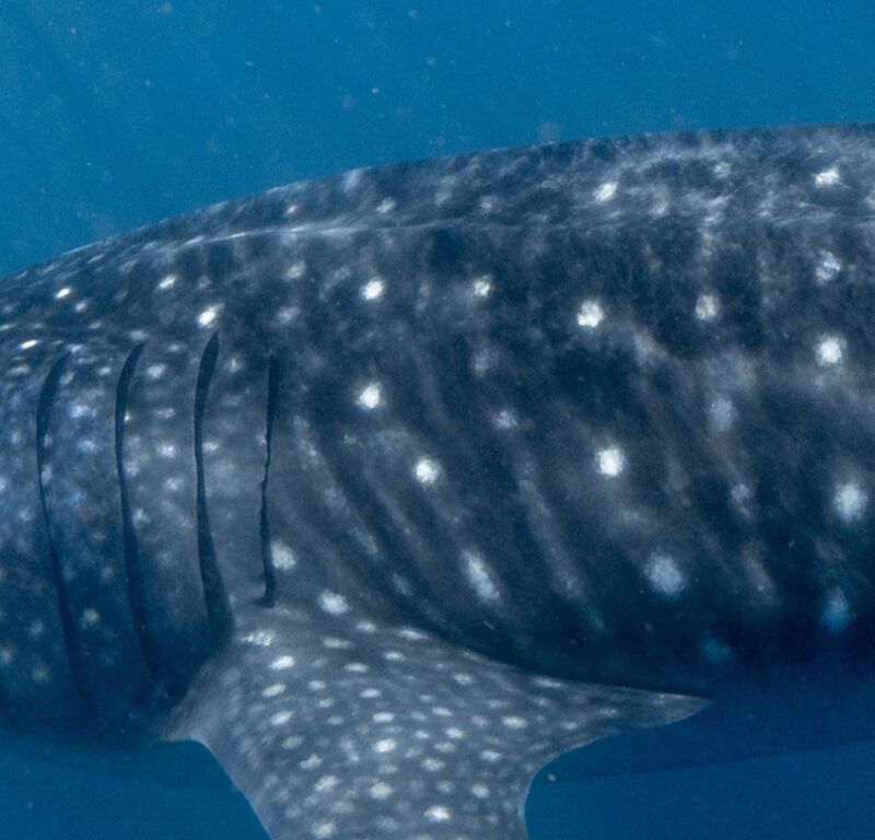 1be8b04a-c501-49ed-9d90-cb72b8e76f7a